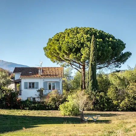 Alosa-terrace-groundfloor Flat-pool-garden *